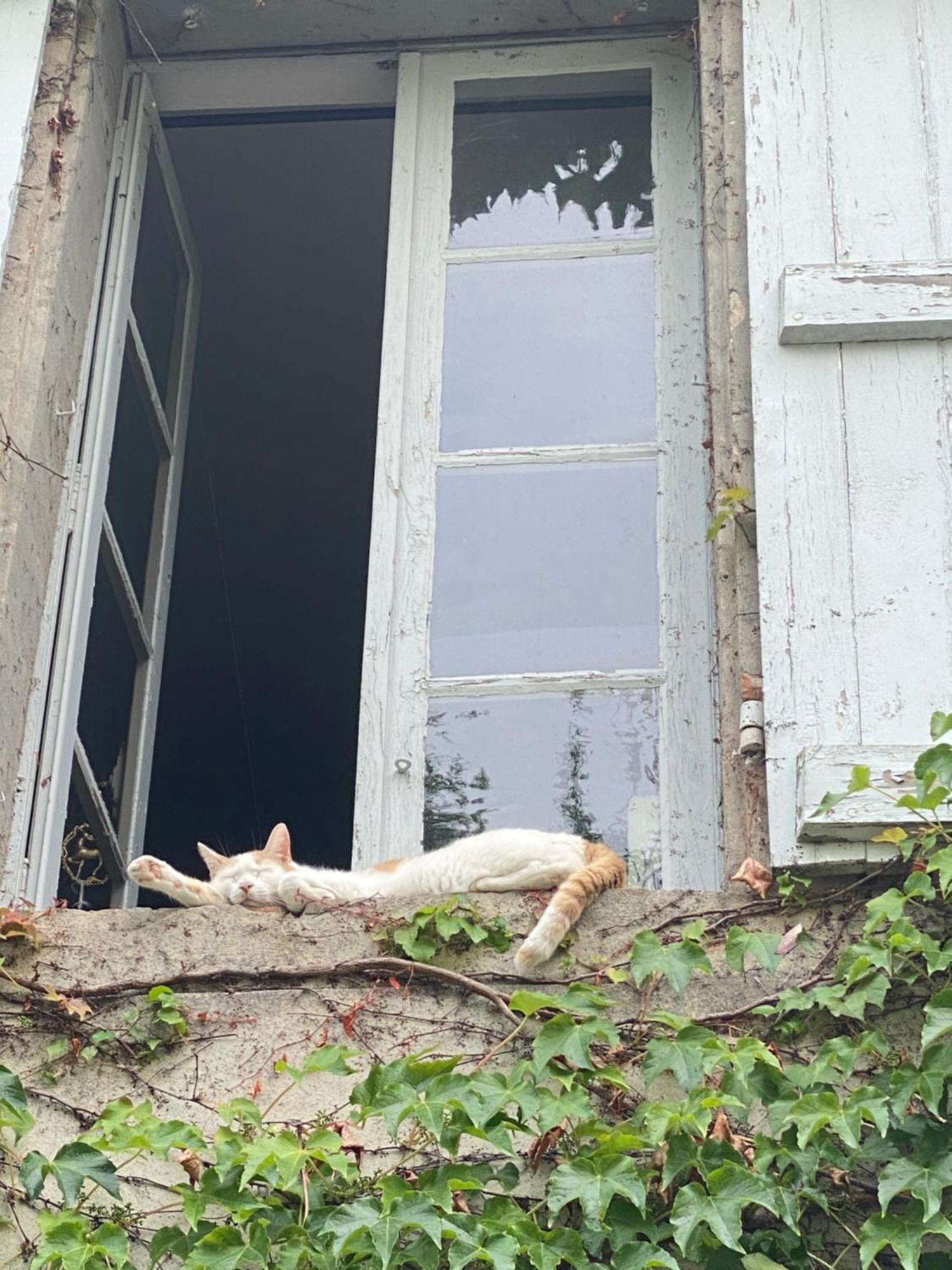 Au Jardin Y Moissac Exterior foto